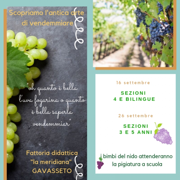 Prima uscita a vendemmiare